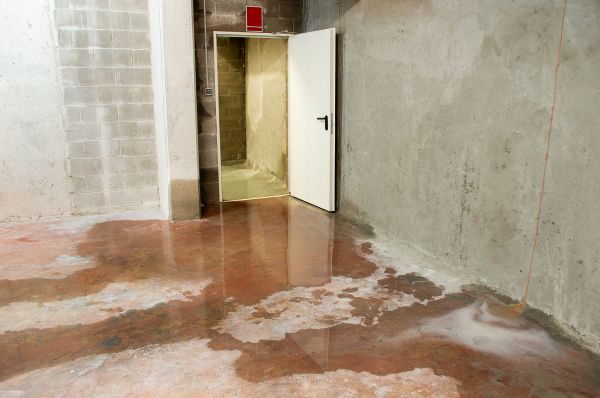 Leaking Basement Repair in Doylestown